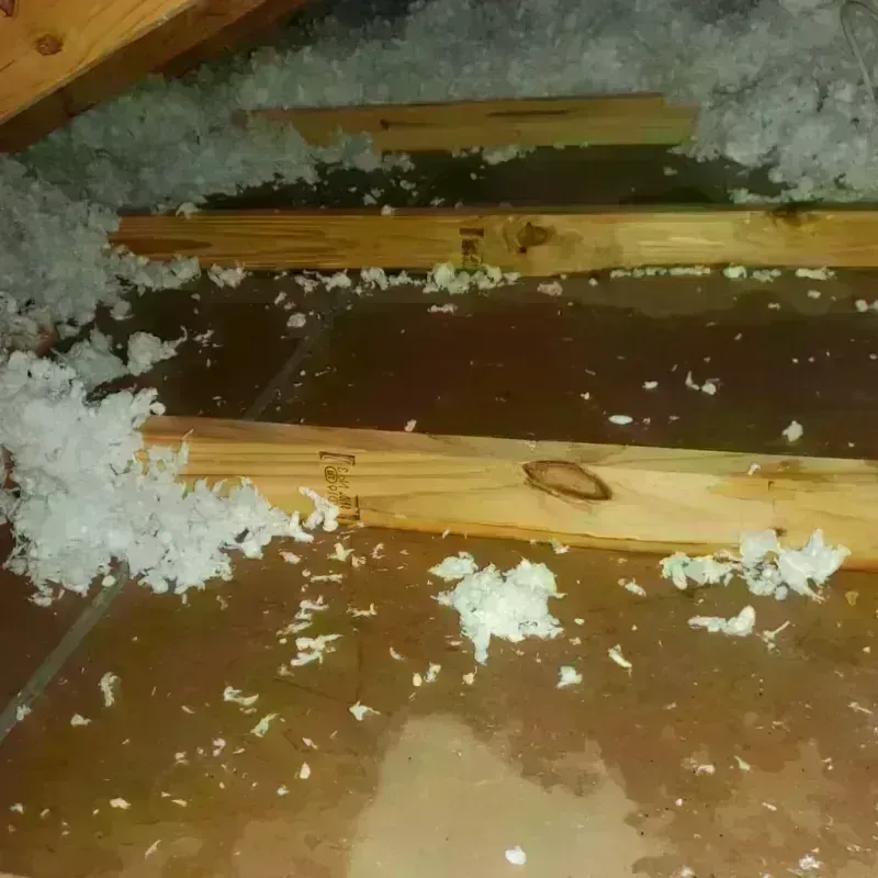 Attic Water Damage in River Heights, UT